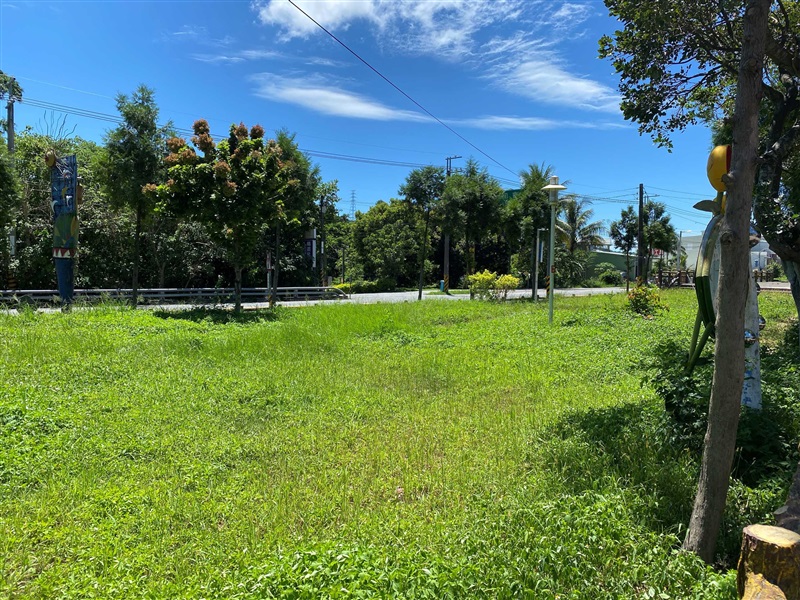 區域綠美化執行示範照片