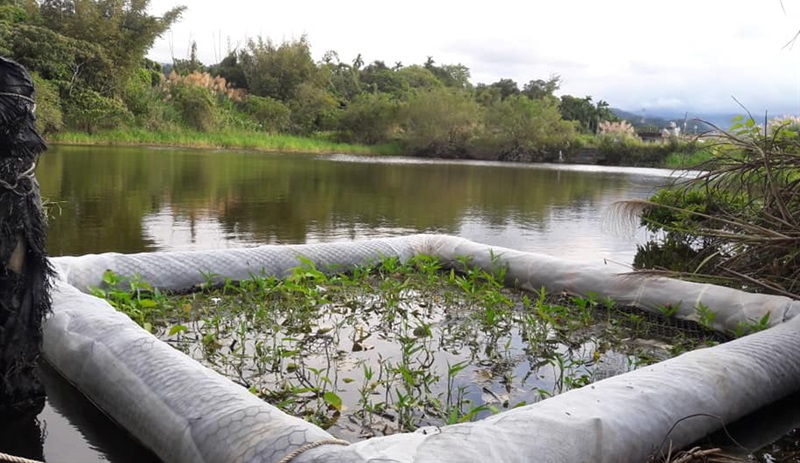 推動魚菜共生執行示範照片