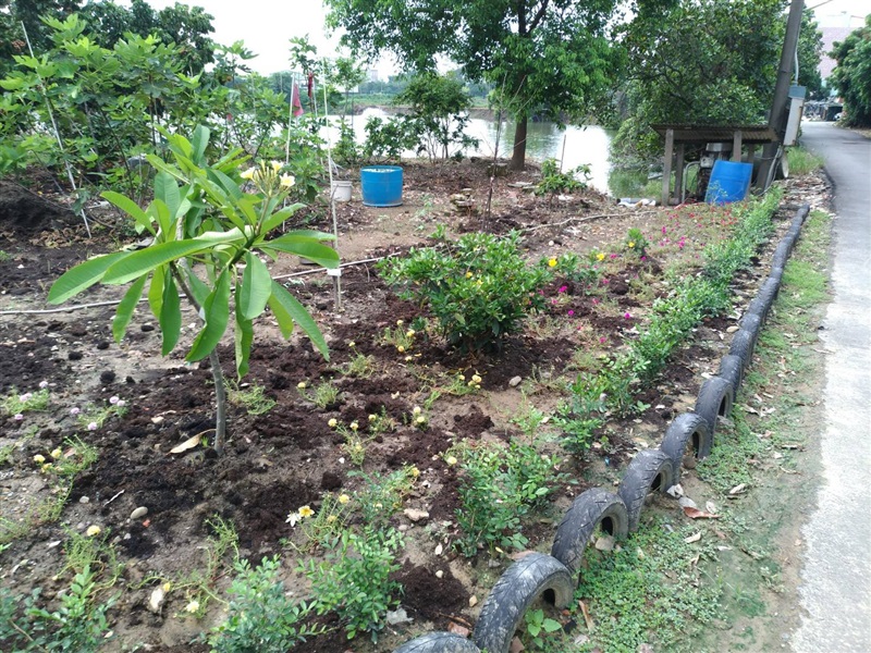 種植原生或誘鳥誘蝶植栽執行示範照片