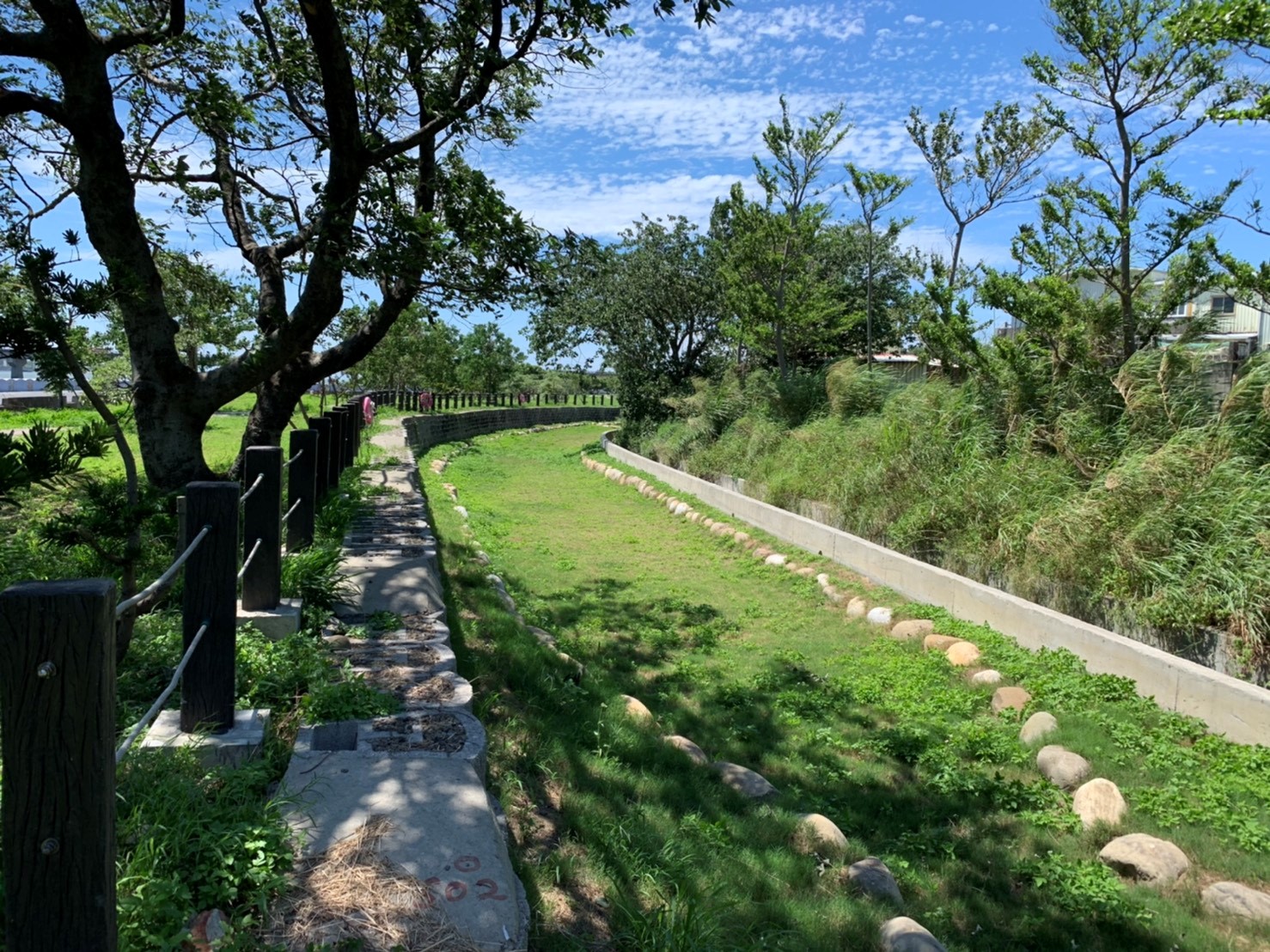 建立生物廊道、棲地或生態綠網執行示範照片