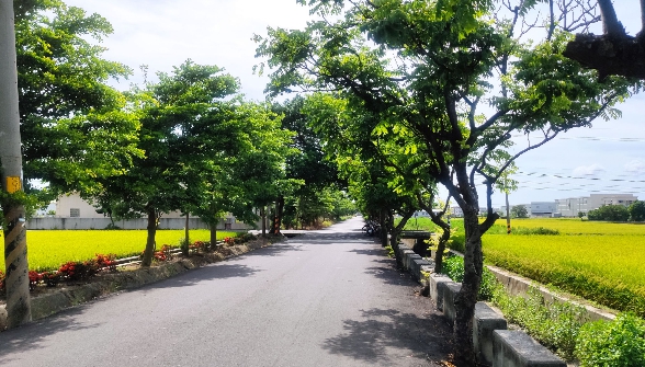建立生物廊道、棲地或生態綠網執行示範照片