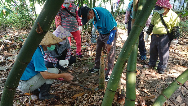 推廣低碳永續旅遊執行示範照片