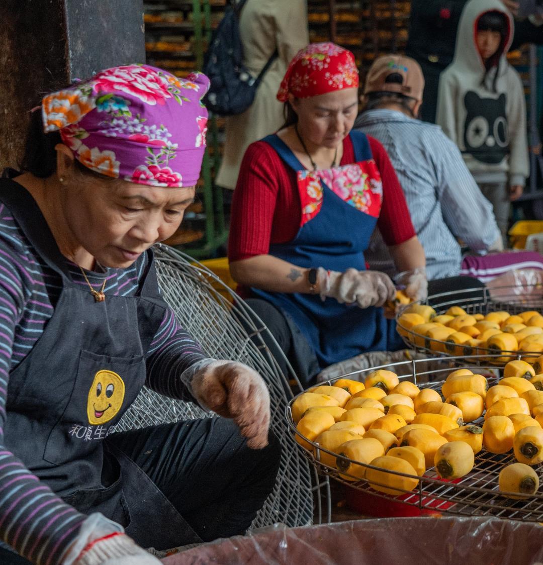 點「柿」成金，從廢棄果皮到天然染料的資源再生藝術。
