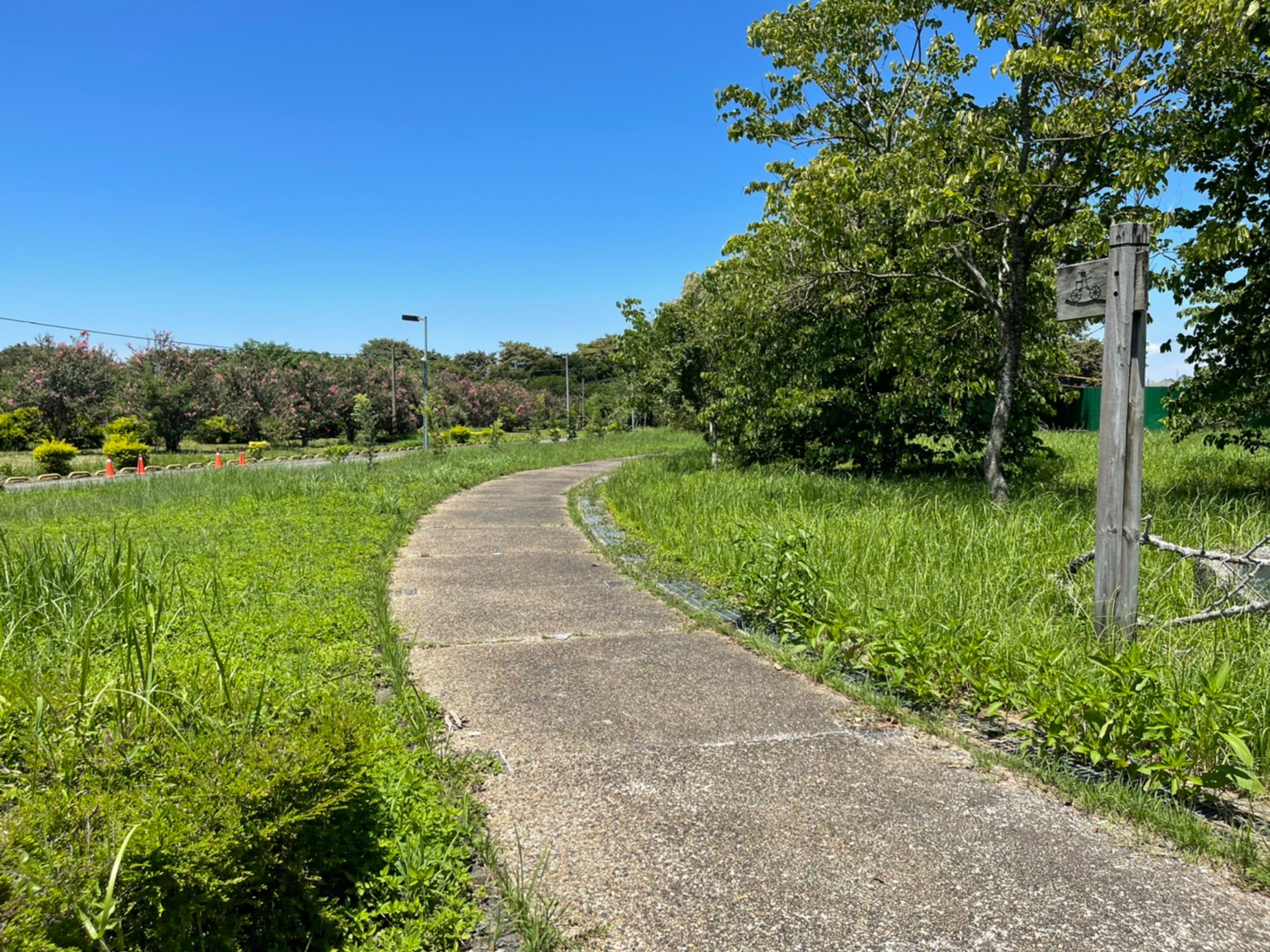 富州里在自行車道旁透過種植多種綠化植物，增加了綠覆面積，也吸引鳥蝶前來棲息，形成蝴蝶廊道。