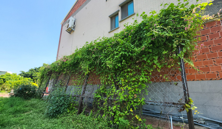 牆面植生示範，賦予建築呼吸的低碳溫度。