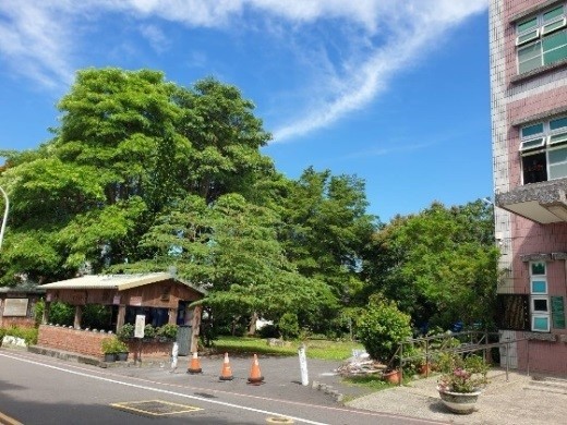 雜草廢地打造成惜福公園