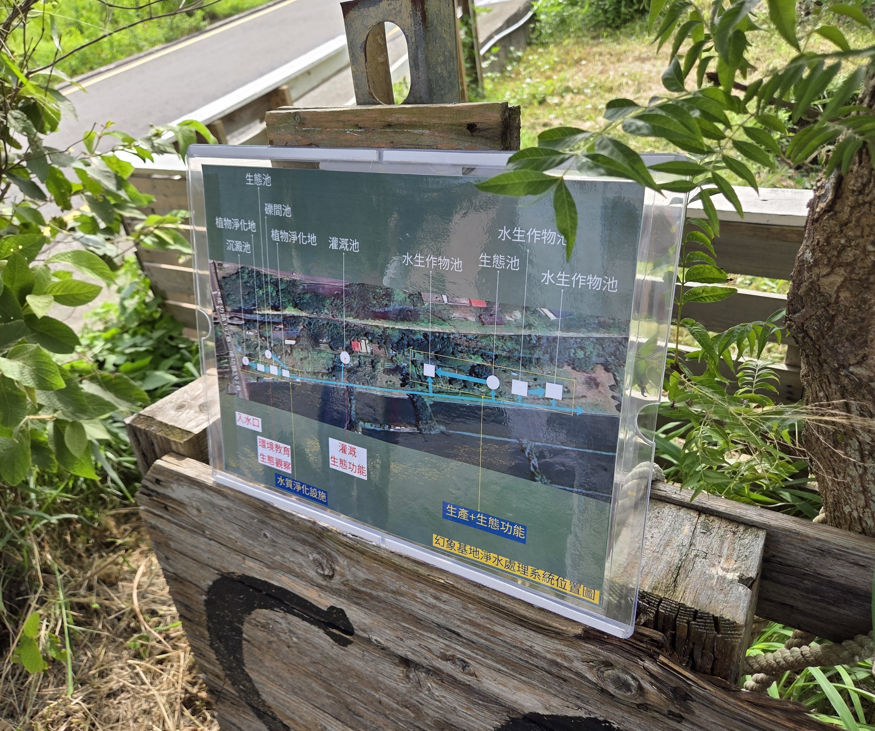 建構CSA幻象基地打造與自然共生的食物森林。