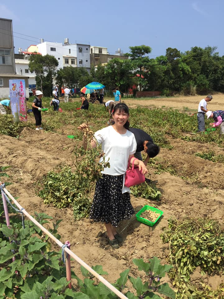 「喜慶溪洲好事花生」活動結合里民採收花生，推廣慢食、在地飲食文化。