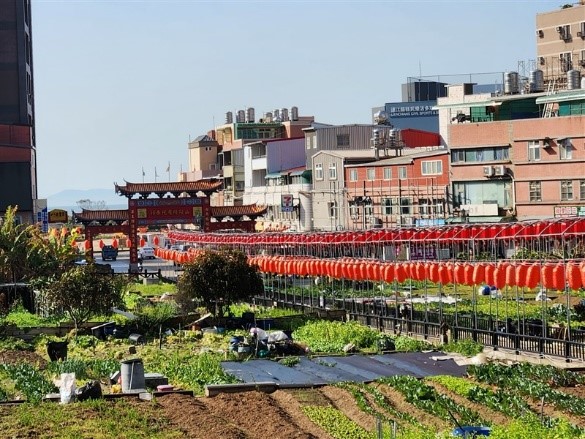 山隴蔬菜公園有機社區農園