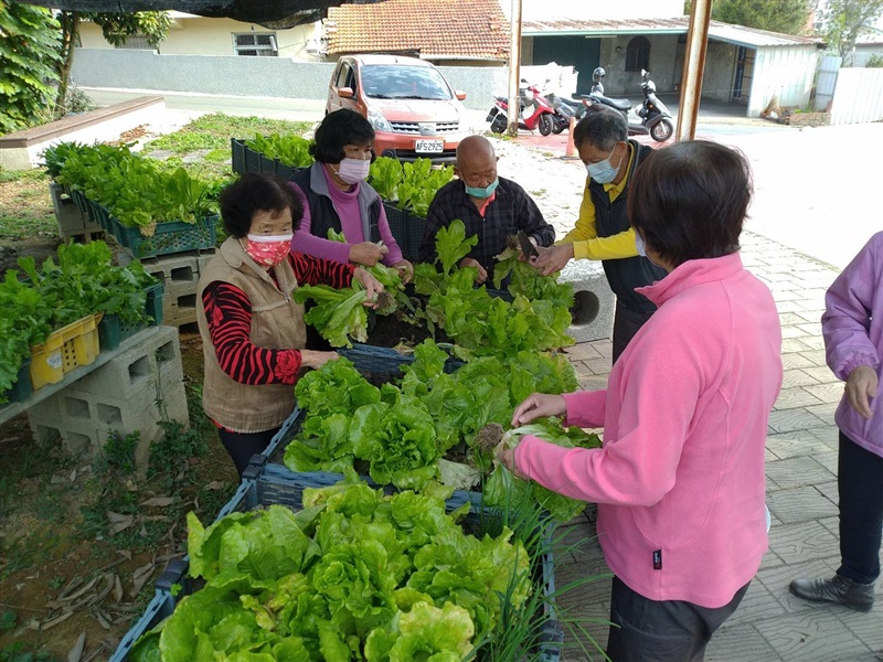 不彎腰農場