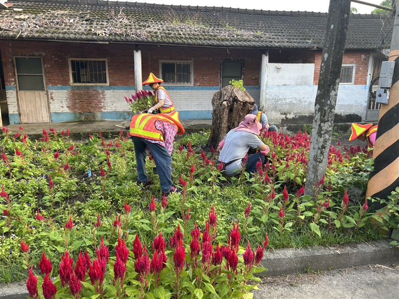 基地綠美化