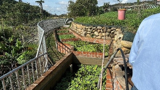 社區淨化水池綠美化