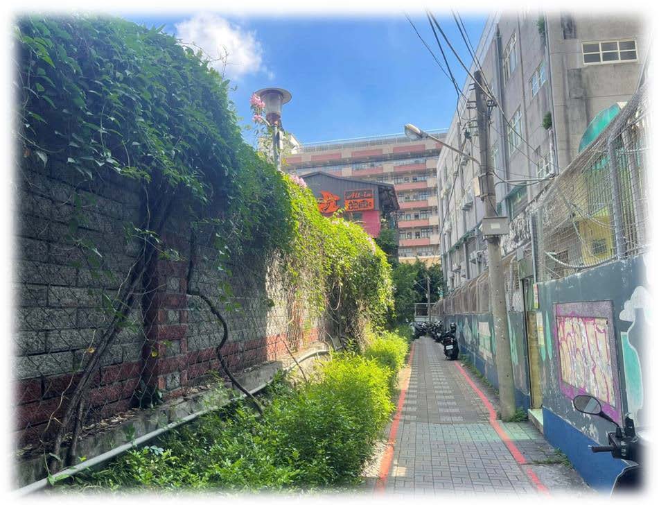 將舊巷道注入新生命，營造遮蔭舒適的散步空間，從整地、鋪地磚、打造牆面植栽、最後掛上藝術畫作