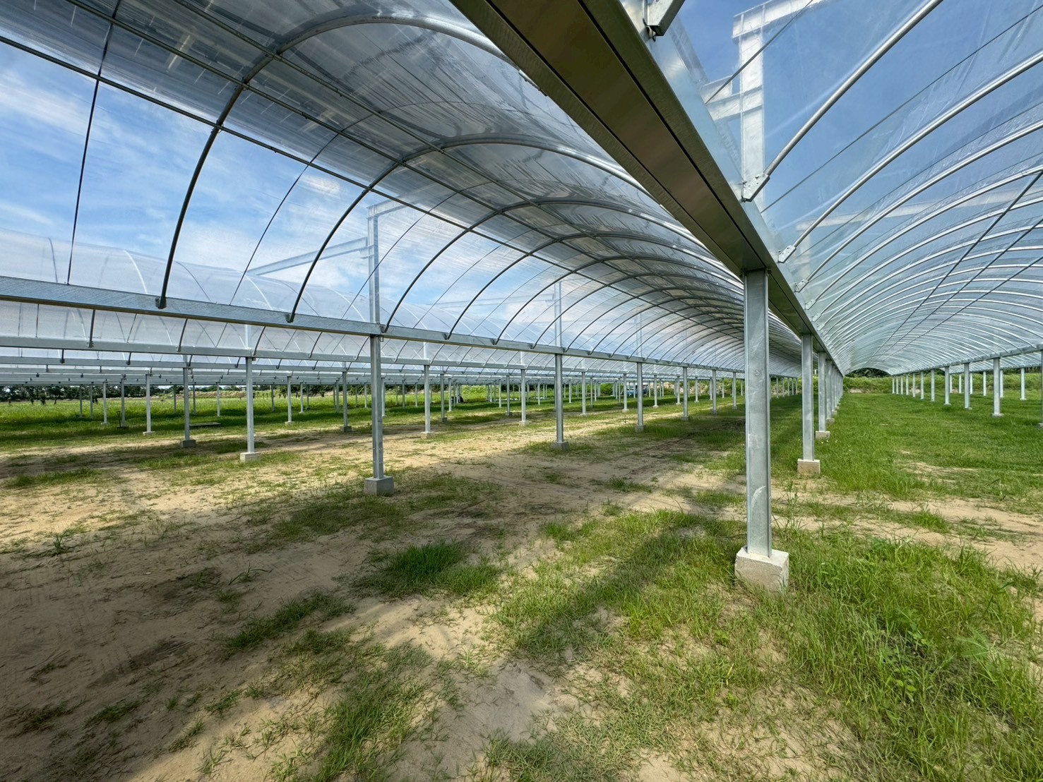 大山腳段以永續經營為目標，持續深耕發展，新建溫室農棚