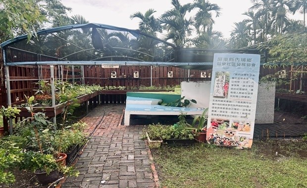 荊隘種不彎腰菜園